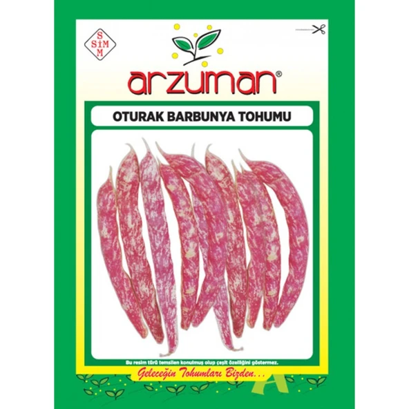 Arzuman Oturak Barbunya Tohumu - 1