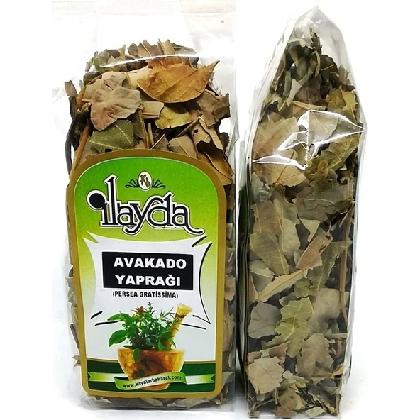 Ilayda Avokado Yaprağı (Persea Gratissima) ürün görseli