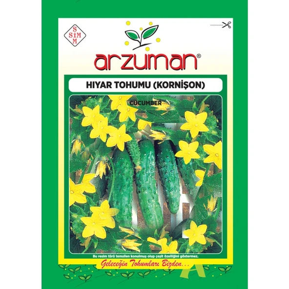 Arzuman Salatalık Kornişon Hıyar Tohum 10 gr ürün görseli