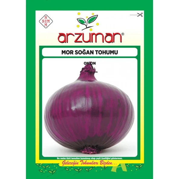 Arzuman Mor Soğan Sebze Tohum-5gr ürün görseli