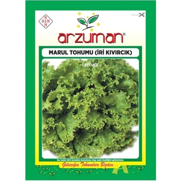 Arzuman Sebze İri Kıvırcık Marul Tohum 10 gr ürün görseli