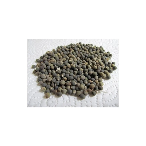 İbk İklim Bahçe Bamya Tohumu 10 kg ürün görseli