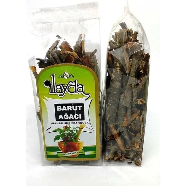 Ilayda Barut Ağacı (Rhamnus Frangula) - 1