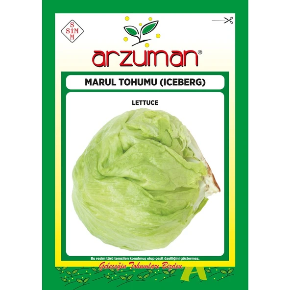Arzuman Iceberg Marul Tohumu 5 Gram ürün görseli