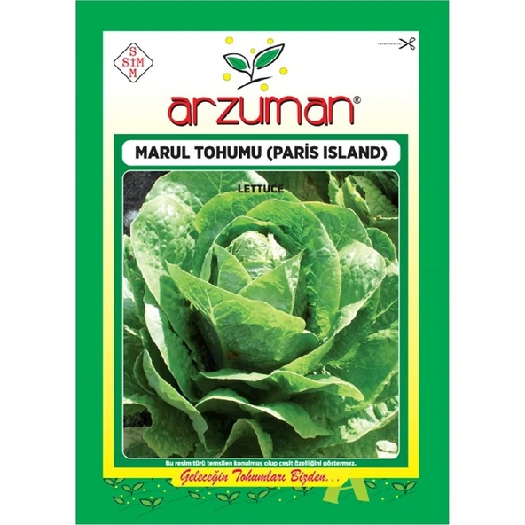Arzuman Marul Tohumu-Paris Island (10 Gr) ürün görseli