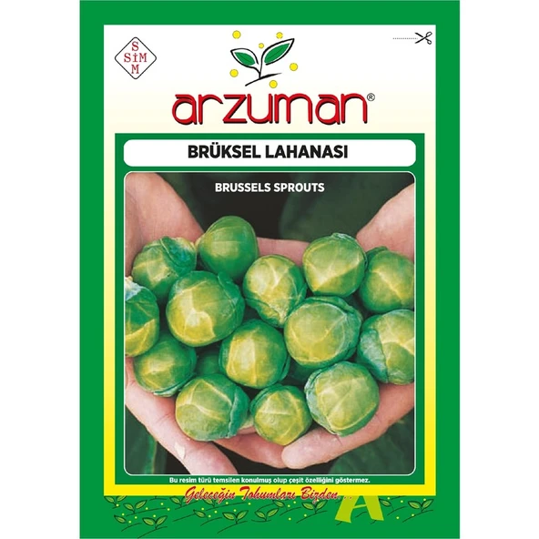 Arzuman Brüksel Lahana Tohumu 200 Adet ürün görseli
