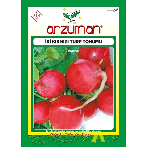 Arzuman Iri Kırmızı Turp Tohumu 25 Gram - 1