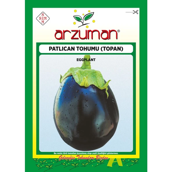 Arzuman Topan Patlıcan Tohumu 10 Gram ürün görseli