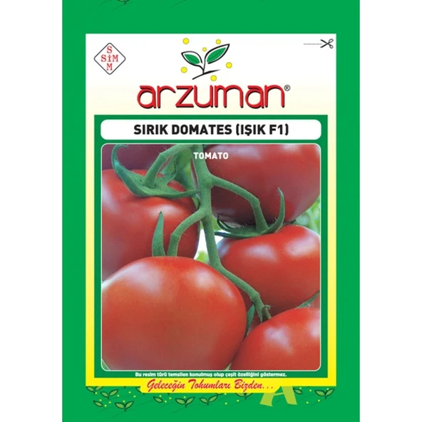 Arzuman Sırık domates (Işık F1 Hibrit) Tohumu (10 adet) ürün görseli