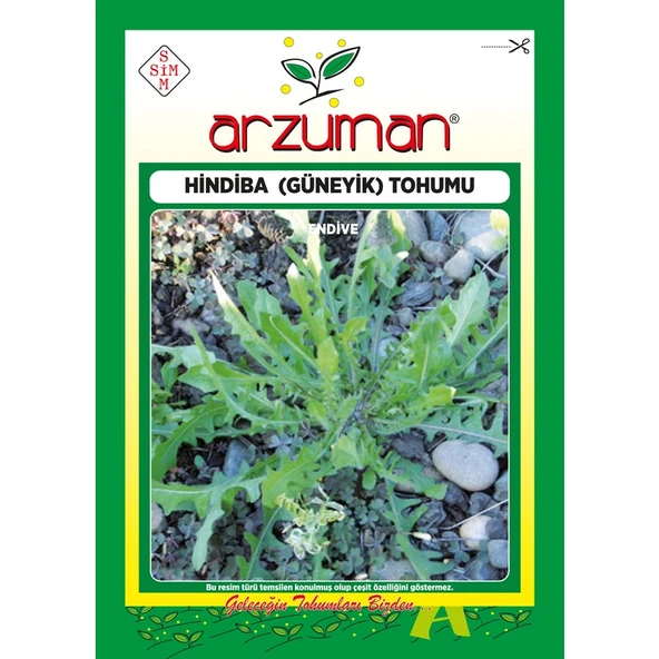 Arzuman Hindiba (Güneyik) Marul Tohumu 5 Gram - 1