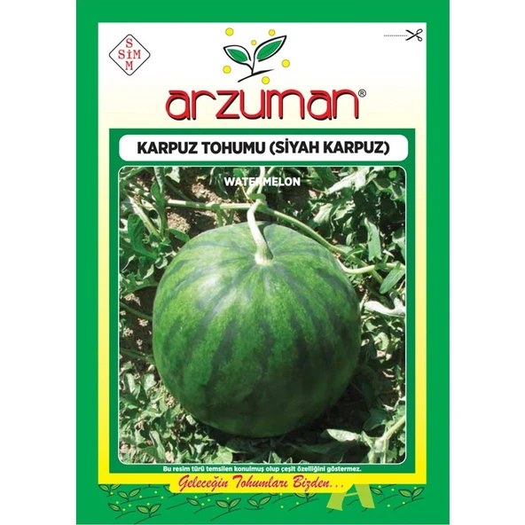 Arzuman Siyah Karpuz Tohumu (10 Gr) Y.washington 26 ürün görseli