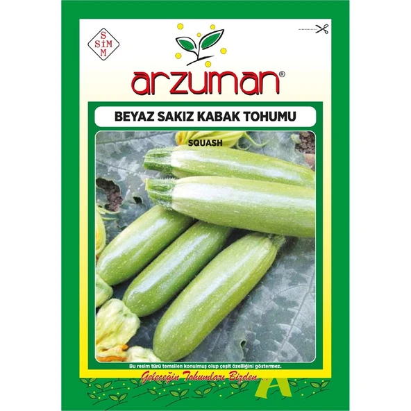 Arzuman Beyaz Sakız Kabak Tohumu 10 Gram - 1