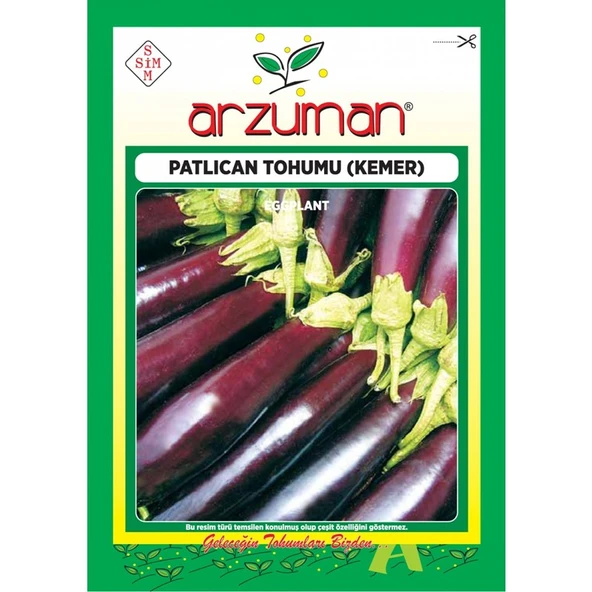 Arzuman Patlıcan Tohumu (10 Gr) Kemer-27 ürün görseli