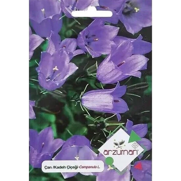 Arzuman Çan/kadeh Çiçeği Tohumu (100 Adet) - 1