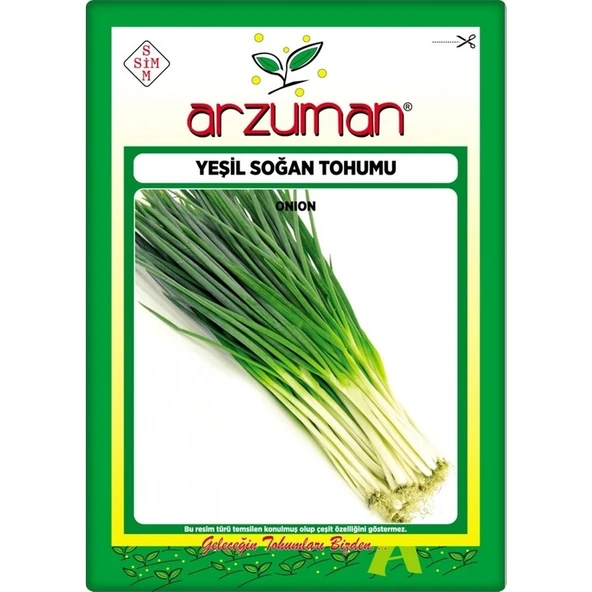 Arzuman Yeşil Soğan Tohumu (10 Gr) ürün görseli