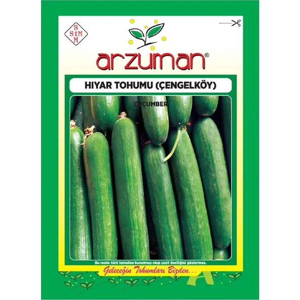 Arzuman Salatalık Tohumu (10 Gr) Çengelköy ürün görseli