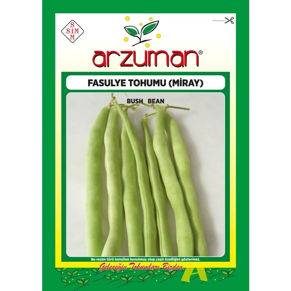 Arzuman Miray (Magnum Tipi) Oturak Fasülye Tohumu 50 Gram - 1