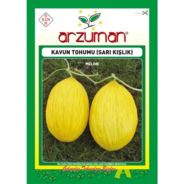 Arzuman Sarı Kışlık Kavun Tohumu 10 Gram - 1