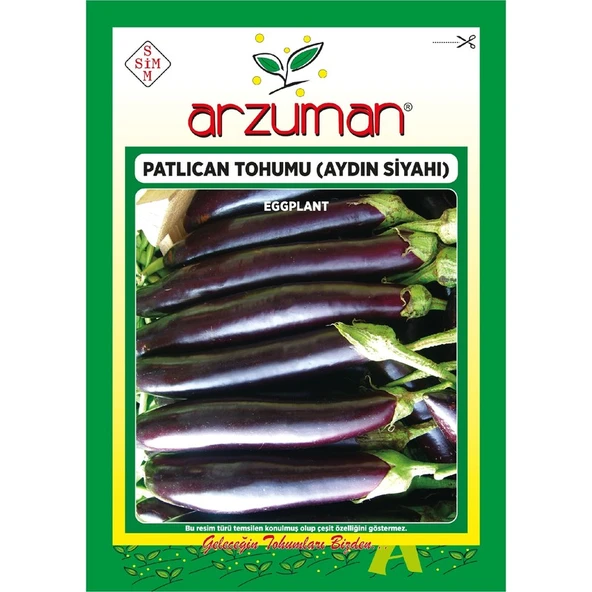 Arzuman Aydın Siyahı Patlıcan Tohumu 10 Gram ürün görseli