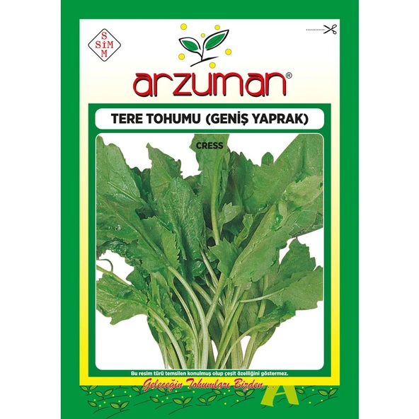 Arzuman Helen Tere Tohumu 25 Gram ürün görseli