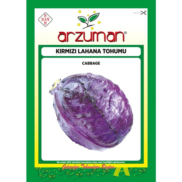 Arzuman Kırmızı (Mor) Lahana Tohumu 10 Gram ürün görseli