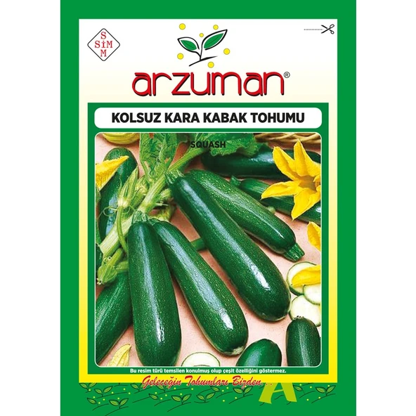 Arzuman Siyah Kabak Tohumu 10 Gram ürün görseli