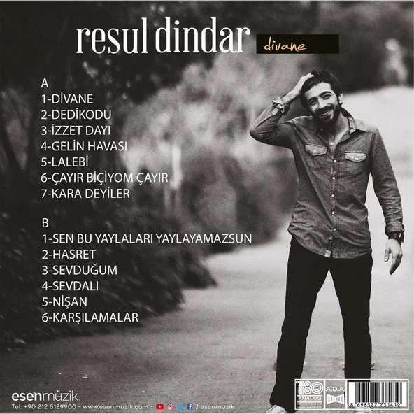 Resul Dindar Divane - Plak - 2