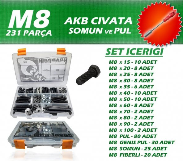 231 Parça M8 AKB Cıvata Seti + 13 Lokma Tornavida