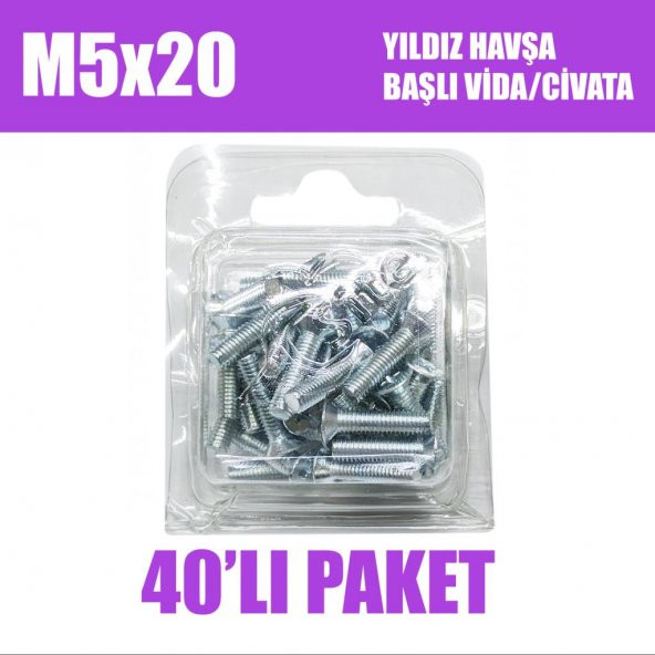 M5x20 Yıldız Havşa Başlı Vida/Civata 40 Adet