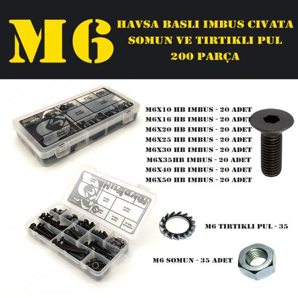 200 Parça M6 Havşa Baş İmbus Cıvata Somun ve Pul Seti