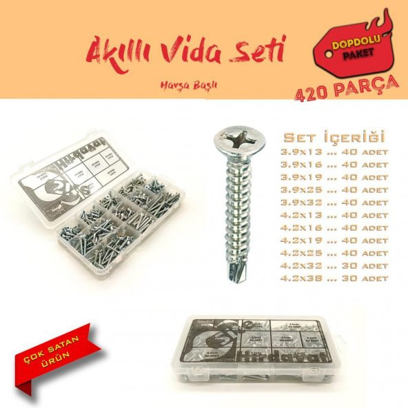 Akıllı Vida Seti - Havşa Başlı, Dopdolu Paket 420 Parça