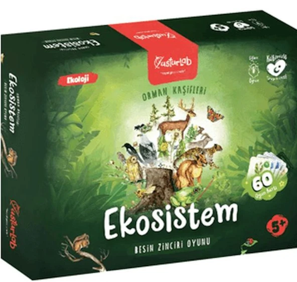 Ekosistem Besin Zinciri Kutu Oyunu Midi - 1