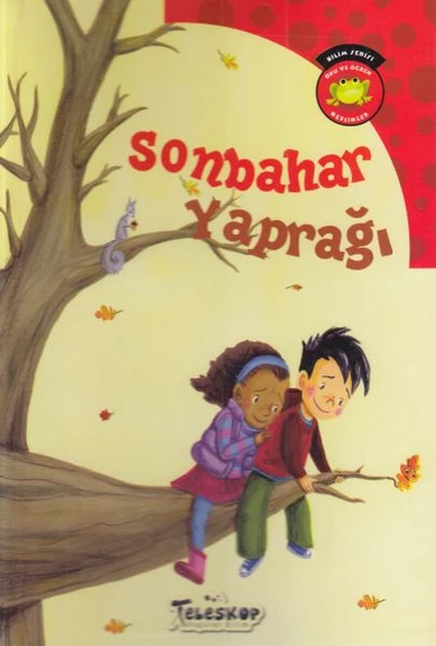 Bilim Serisi Oku ve Öğren Mevsimler - Sonbahar yaprağı ürün görseli