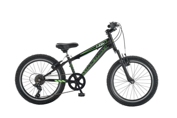 Salcano Lion 20 V Fren 6 Vites 20 Jant Çocuk Bisikleti Siyah Yeşil ürün görseli