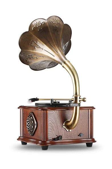 RMJ-209C Gramofon Pikap Radyo Bluetooth Usb Plak Çalar - 4