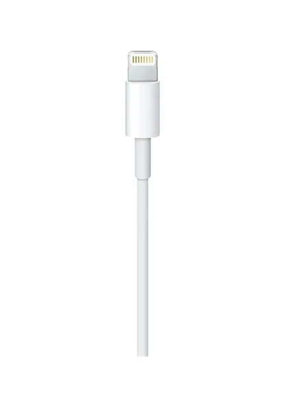 Apple Lightning (2m) USB Kablo - MD819ZM/A - Resim 3
