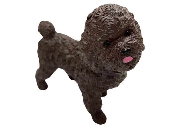 Soft Köpekler - Poodle Cinsi Köpek - E013 - 3