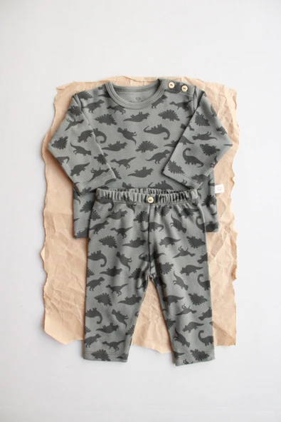 Dinozor Baskılı Bebek Alt Üst Takım ürün görseli