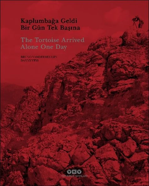 Kaplumbağa Geldi Bir Gün Tek Başına ürün görseli