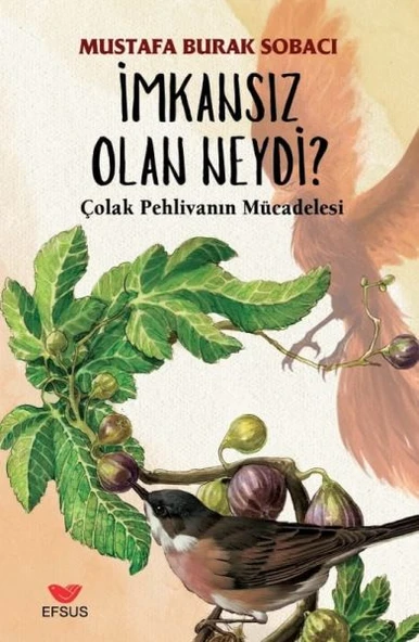 İmkansız Olan Neydi ürün görseli