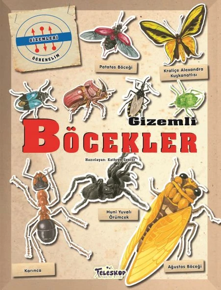 Gizemleri Öğrenelim - Gizemli Böcekler ürün görseli