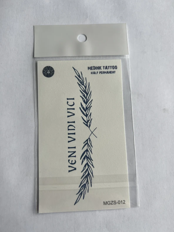 Veni Vidi Vici 11x8 cm Yarı Kalıcı Geçici Dövme Yapıştırma Dövme ürün görseli 1