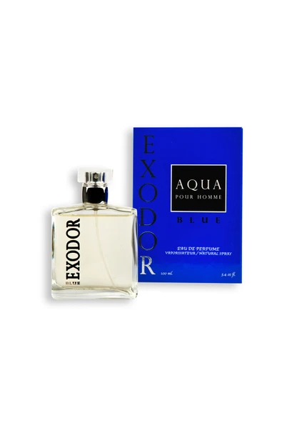 Blue Aqua Pour Homme Edp 100 ml - 2