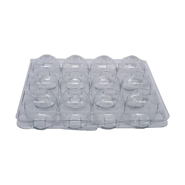 Yumurta Viyolü 12 Li Bıldırcın 100 Adetli - Resim 2