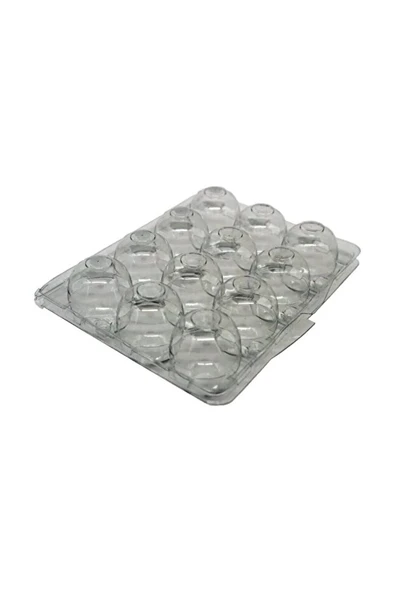 Yumurta Viyolü 12 Li Bıldırcın 100 Adetli - Resim 3