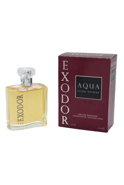 Vie Aqua Pour Homme Edp 100 ml - 2