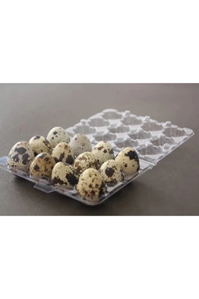 Yumurta Viyolü 12 Li Bıldırcın 100 Adetli ürün görseli