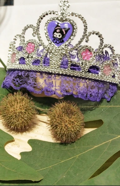 Monalisa Home Figürlü Renkli Çocuk Taçı ürün görseli 1