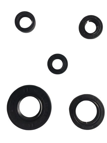 Ybr 5 Li Krank Motor Keçe Seti ürün görseli 1