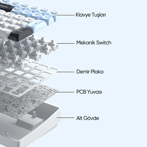 Aula S100 Pro RGB Mekanik Hot Swap Brown Switch Mavi Kablosuz Gaming Klavye - Resim 4